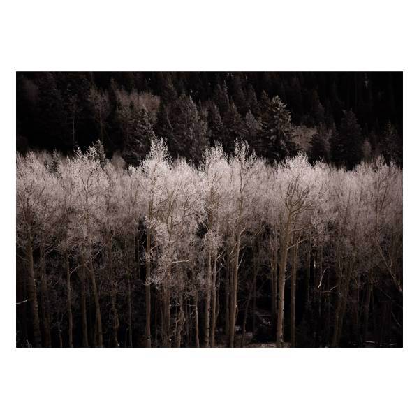 تابلو گالری مارکت لند کد M114