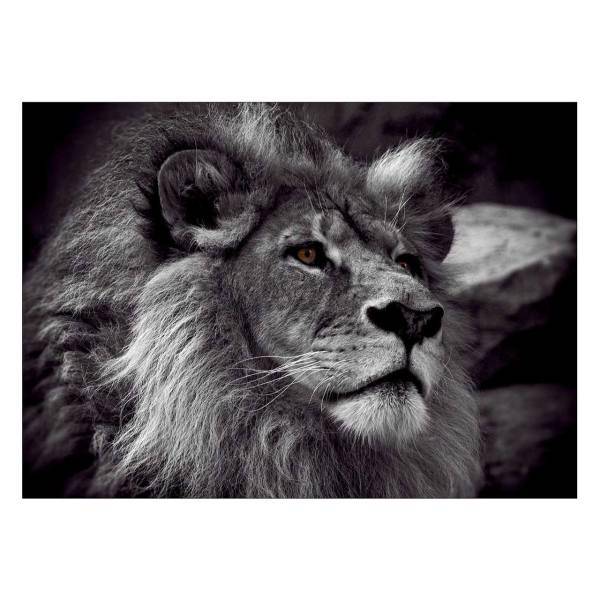تابلو شاسی ونسونی طرح Contemplative Lion سایز 50 × 70 سانتی متر، Wensoni Contemplative Lion Chassis Size 50 x 70 Cm