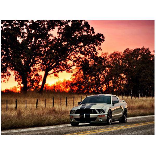 تابلو شاسی مِسترچاپ کد 1031