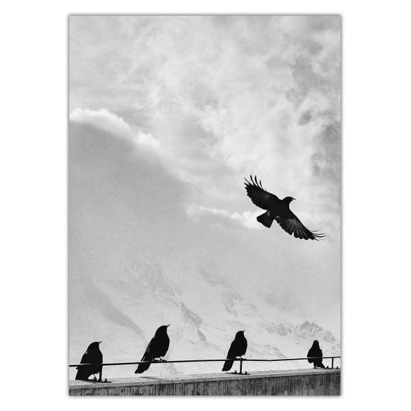 تابلو شاسی ونسونی طرح Flied Crows سایز 50x70 سانتی متر، Wensoni Flied Crows Chassis Size 50 x 70 Cm