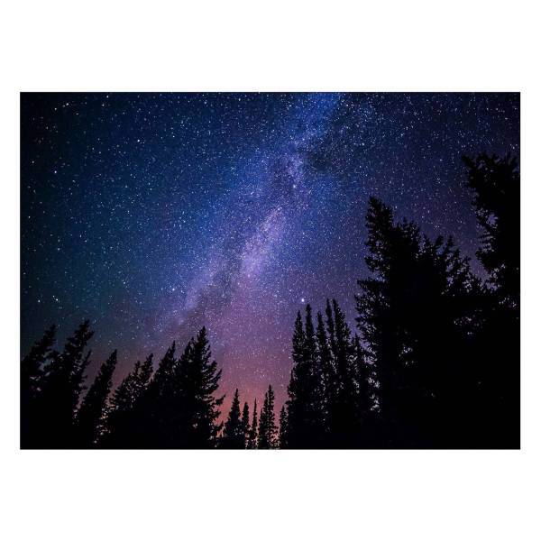 تابلو شاسی ونسونی طرح Night at Jungle سایز 50×70 سانتی متر، Wensoni Night at Jungle Chassis Size 50 x 70 Cm