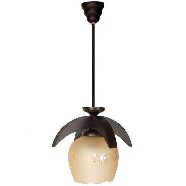 چراغ آویز چشمه نور 1 شعله کد 505، Cheshmeh Noor 505 One Branch Hanging Lamp