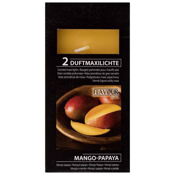 وارمر گالا مدل Mango Papaya بسته 2 عددی، Gala Mango Papaya Warmer Pack of 2