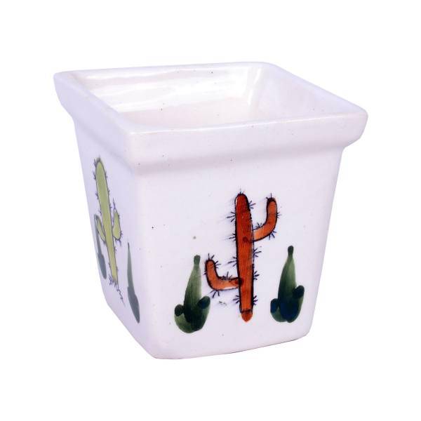 گلدان سرامیکی ژینورا طرح C2 مدل کاکتوس سایز متوسط، Gynura C2 Cactus Ceramic Flower Pot Size Medium