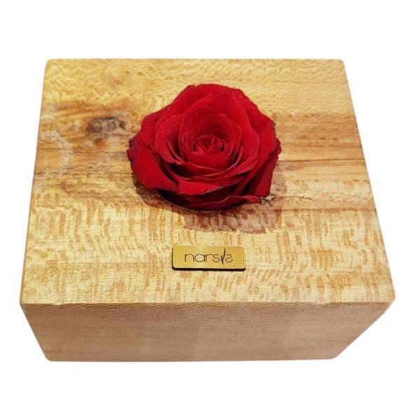 گل رز جاودان گالری نارسیس کد N110