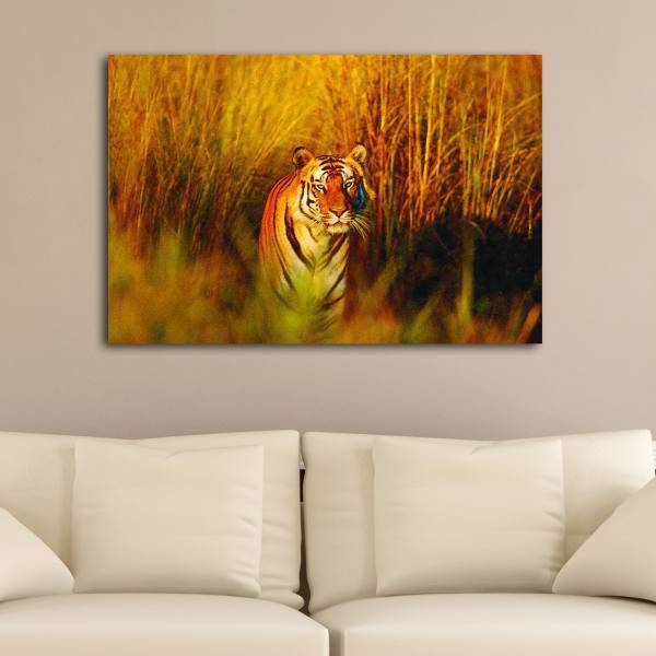 تابلو بوم گالری آفتاب کد P32