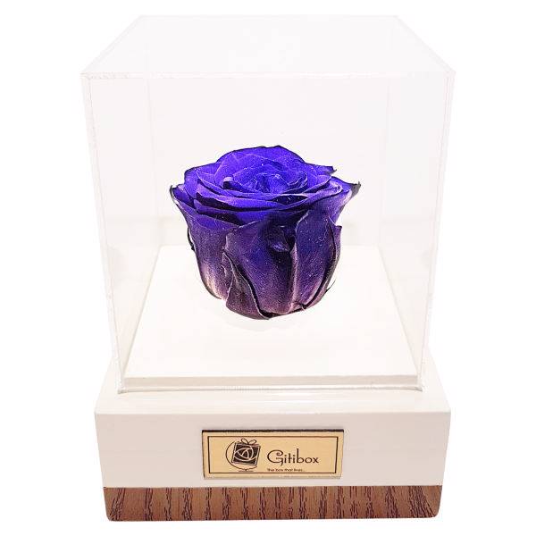 جعبه گل ماندگار گیتی باکس مدل رز جاودان آبی تیره افرا، Gitibox Afra Dark Blue Preserved Rose Flower Box