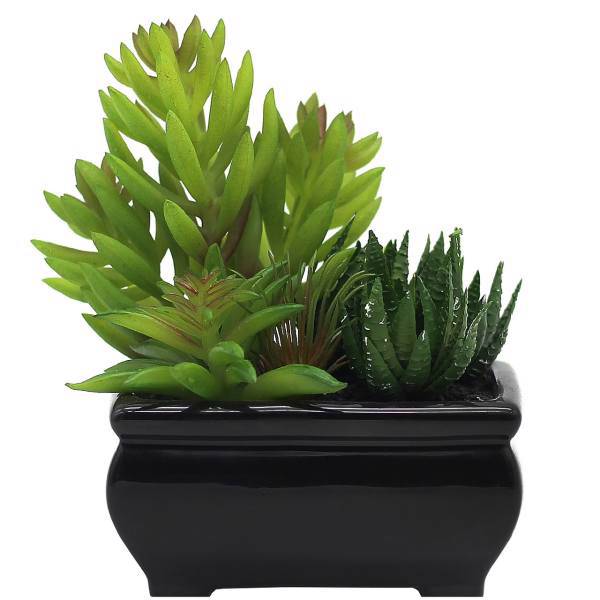 گلدان گل آکو مدل کاکتوس B3790، Ako Cactus B3790 Flower Vase
