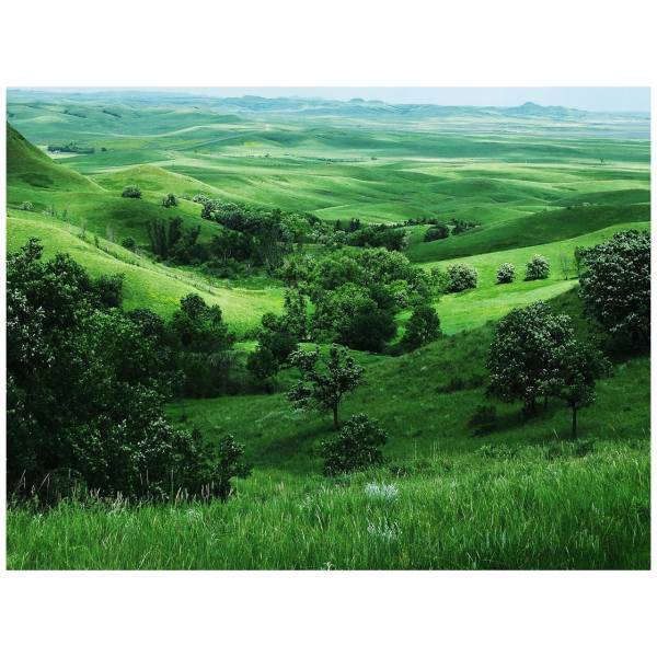 تابلو شاسی مِسترچاپ کد 1016