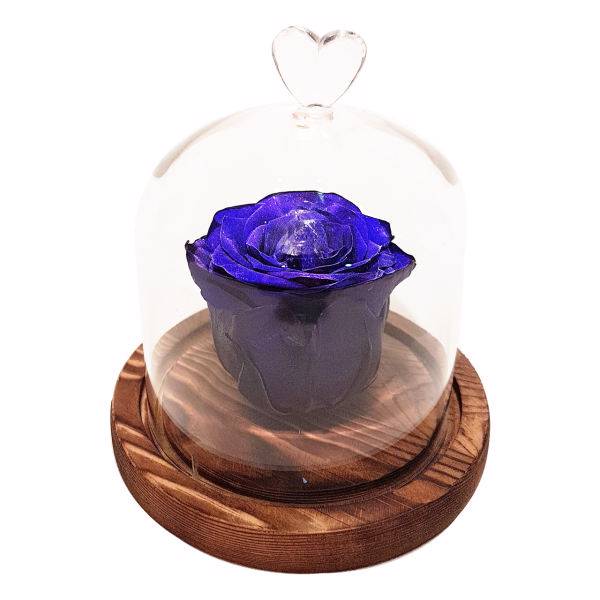 جعبه گل ماندگار گیتی باکس مدل رز جاودان آبی تیره مینا، Gitibox Mina Dark Blue Preserved Rose Flower Box