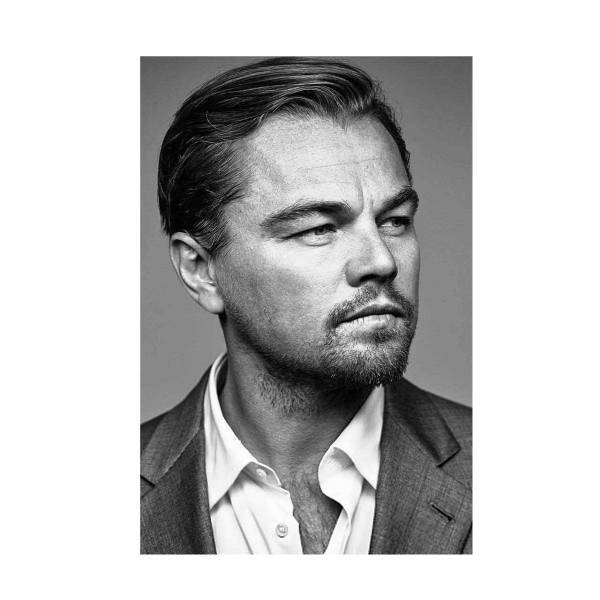 تابلو شاسی چوبی نوین نقش طرح لئوناردو دی کاپریو 03، Novinnaghsh Wooden Chassis Leonardo DiCaprio 03 Design