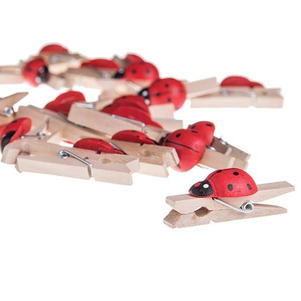 گیره چوبی پینه دوز دار 24 عددی، Decorative Lady Bird Shaped Wooden Pig Pack Of 24