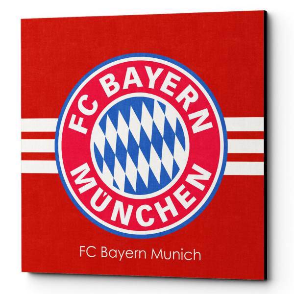 تابلو شاسی لومانا مدلBayern Munich CA036 سایز 25×25، Lomana Bayern MunichCA036 Chassis Size 25x25