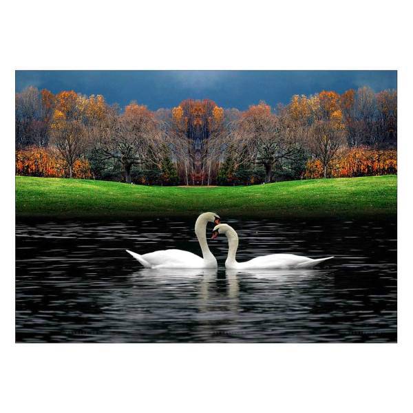 تابلو شاسی ونسونی طرح In Love Swans سایز 30 × 40 سانتی متر، Wensoni In Love Swans Chassis 40 x 30