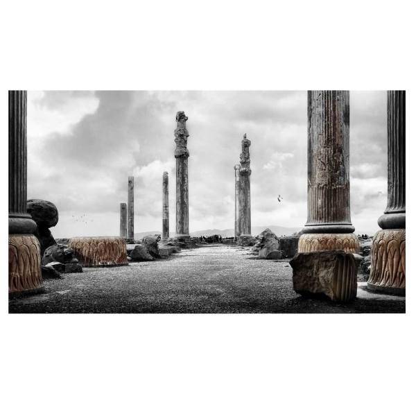 تابلو شاسی نقره ترمه مدل A15