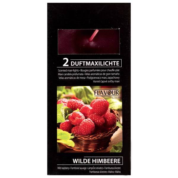 وارمر گالا مدل Wilde Himbeere بسته 2 عددی، Gala Wilde Himbeere Warmer Pack of 2