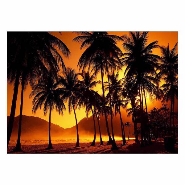 تابلو شاسی ونسونی طرح Sunset Beyond Palms سایز 30x40 سانتی متر، Wensoni Sunset Beyond Palms Chassis 40 x 30