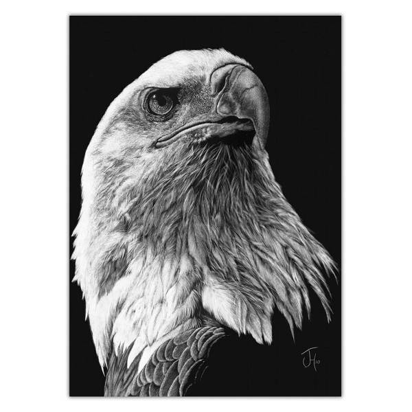 تابلو شاسی ونسونی طرح Scratchboard Art Eagle سایز 30 × 40، Wensoni Scratchboard Art Eagle Chassis Size 40 x 30