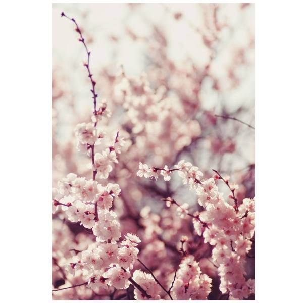 تابلو شاسی نوآوران کد SH20، Noavaran SH20 Tableau