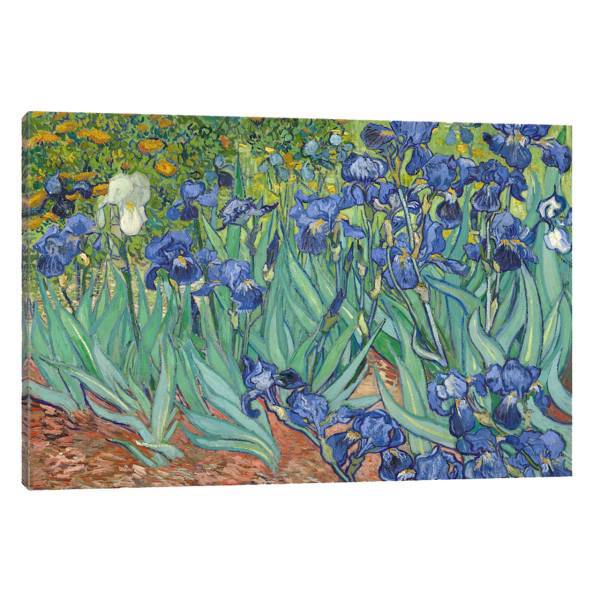 تابلو بوم آیریس کد Iris0007 طرح آیریس