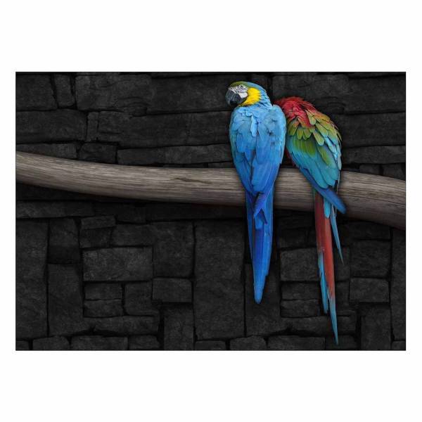 تابلو شاسی ونسونی طرح Canaries In Love سایز 50x70 سانتی متر، Wensoni Canaries In Love Chassis Size 50 x 70 Cm