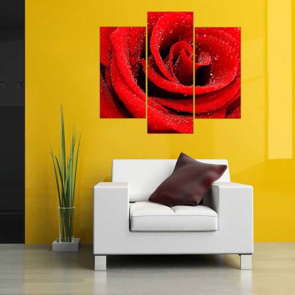 تابلو دیواری دکو وسنا طرح رز قرمز، DecoVasna Red Rose Wall Paintings