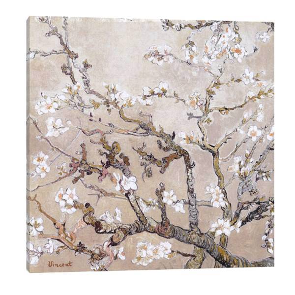 تابلو بوم آیریس کد Iris0004 طرح شکوفه های بادام