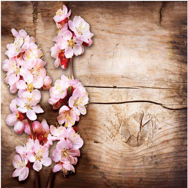 پوستر دیواری سه بعدی لوتوس مدل LW106