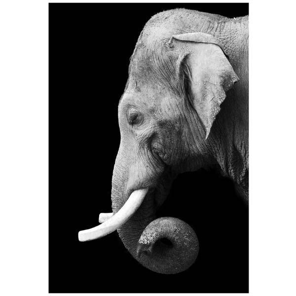 تابلو شاسی نوآوران کد SH59، Noavaran SH59 Tableau