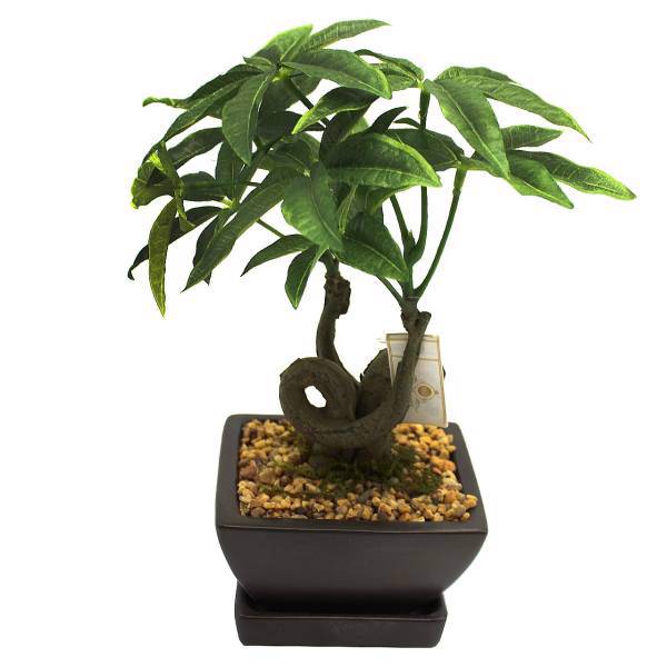 گلدان گل آکو مدل بونسای پرتقال F9826، Ako Orange Bonsai F9826 Flower Vase