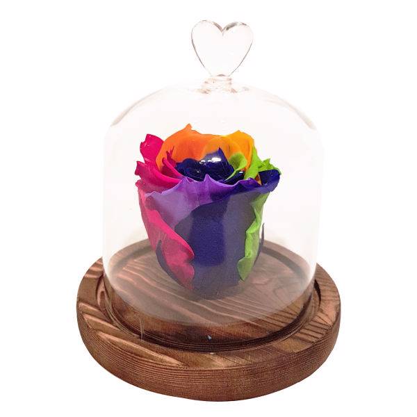 جعبه گل ماندگار گیتی باکس مدل رز جاودان 7 رنگ مینا، Gitibox Mina 7 Color Preserved Rose Flower Box