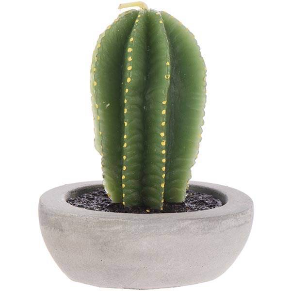 شمع هارمونی مدل کاکتوس N10241، Harmony Cactus N10241 Candle