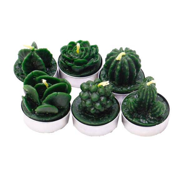 شمع ایرسا مدل Cactus-2 مجموعه 6 عددی