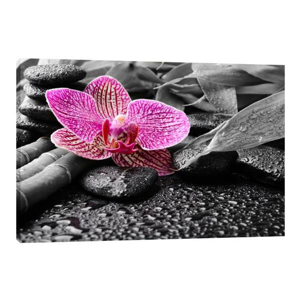 تابلو بوم آیریس کد Iris0038 طرح ارکیده