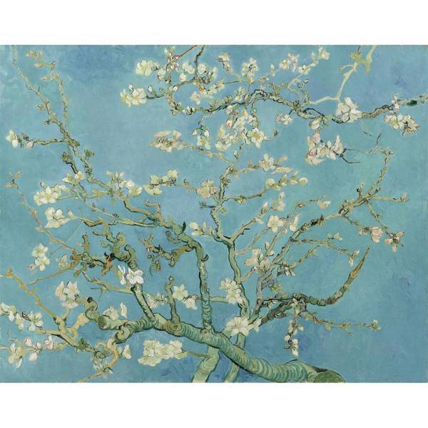 تابلو شاسی گالری هنری پیکاسو طرح شکوفه های بادام، Picasso Art Gallery Almond Blossoms Chassis