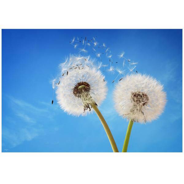 تابلو شاسی نوآوران کد SH13، Noavaran SH13 Tableau