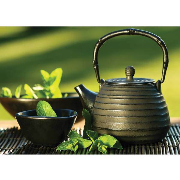 تابلو شاسی آکو طرح Teapot سایز 20x28 سانتی متر، Ako Teapot Chassis Size 20 x 28