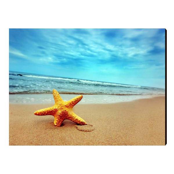 تابلو شاسی الینور مدل Elt427 سایز 40x30 سانتی متر، Elinor Elt427 Chassis Size 30 x 40 Cm