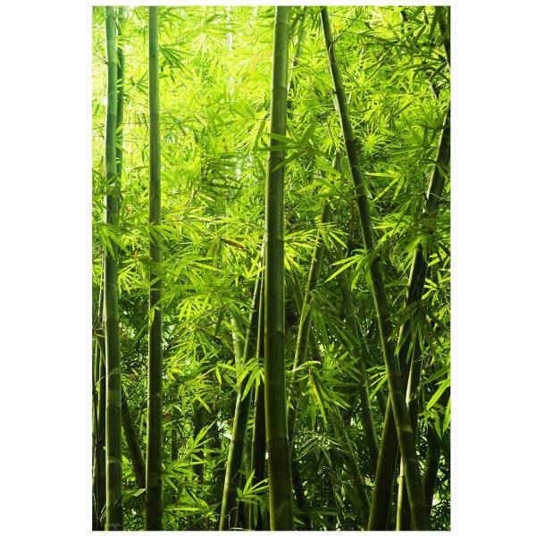 تابلو شاسی نوآوران کد SH5، Noavaran SH5 Tableau