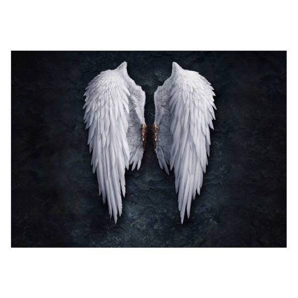 تابلو شاسی ونسونی طرح Angel Wings سایز 30 × 40، Wensoni Angel Wings Chassis 40 x 30