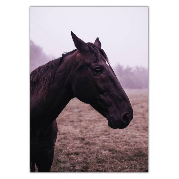 تابلو شاسی ونسونی طرح Nice Brown Horse سایز 50x70 سانتی متر، Wensoni Nice Brown Horse Chassis Size 50 x 70 Cm