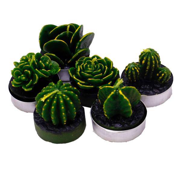 شمع ایرسا مدل Cactus مجموعه 6 عددی