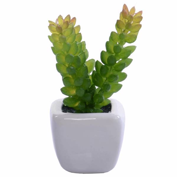 گلدان به همراه گل مصنوعی رایدین مدل کاکتوسR13، Raydin Cactus R13 Flower Vase