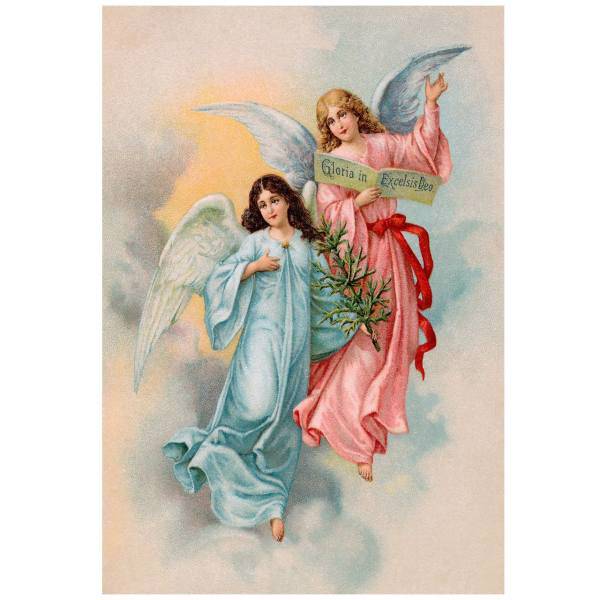 تابلو شاسی نوآوران کد SH41، Noavaran SH41 Tableau