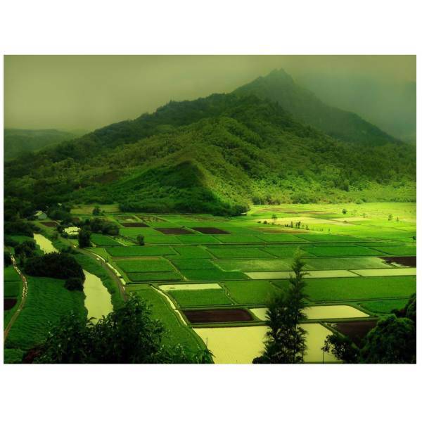 تابلو شاسی مِسترچاپ کد 1027