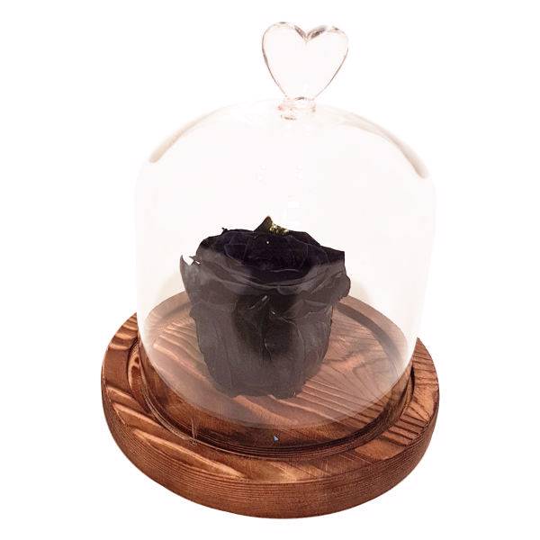 جعبه گل ماندگار گیتی باکس مدل رز جاودان مشکی مینا، Gitibox Mina Black Preserved Rose Flower Box