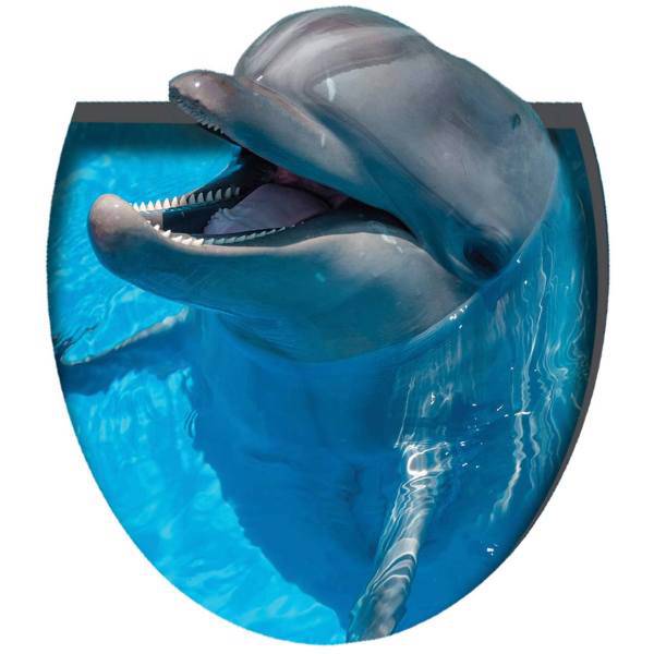 استیکر سه بعدی سرویس بهداشتی ژیوار طرح دلفین، Zhivar Dolphin 3D Toilet Sticker