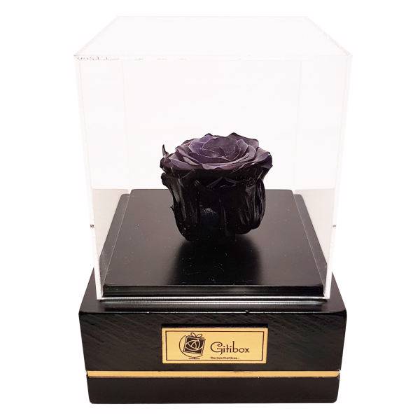 جعبه گل ماندگار گیتی باکس مدل رز جاودان مشکی کاج، Gitibox Kaj Black Preserved Rose Flower Box