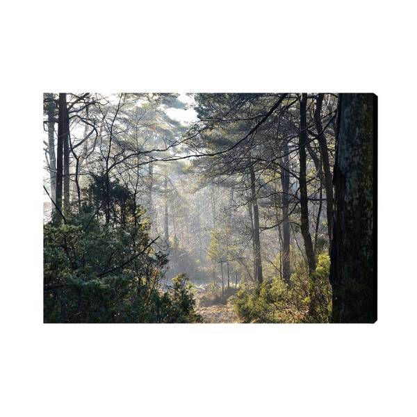 تابلو شاسی بارمان مدل Bar37، Barman Bar37 Chassis