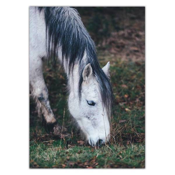 تابلو شاسی ونسونی طرح Horse Grabbing سایز 50x70 سانتی متر، Wensoni Horse Grabbing Chassis Size 50 x 70 Cm